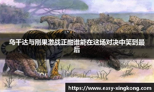 乌干达与刚果激战正酣谁能在这场对决中笑到最后